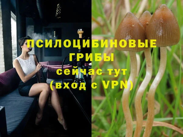ECSTASY Алексин