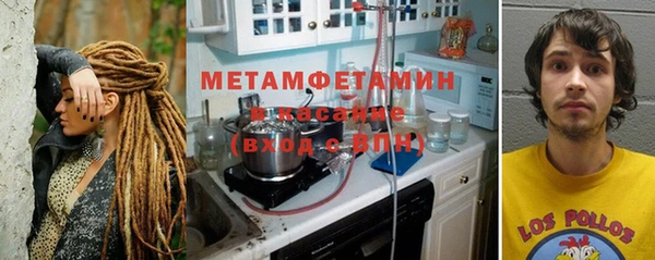 крисы Алзамай