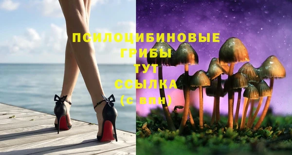 ECSTASY Алексин