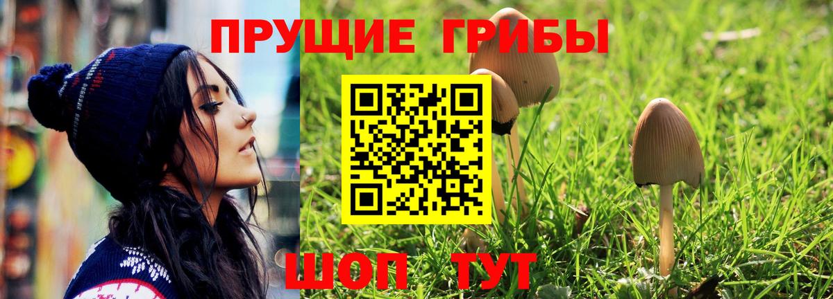 Галлюциногенные грибы мухоморы Глазов