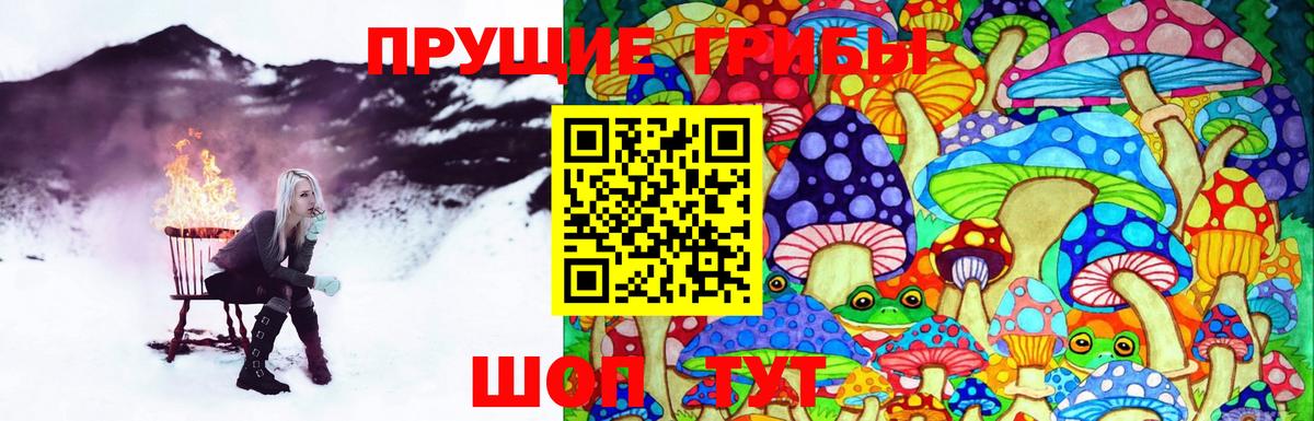 Псилоцибиновые грибы прущие грибы  Псилоцибиновые грибы Cubensis  Глазов  Вход с VPN 