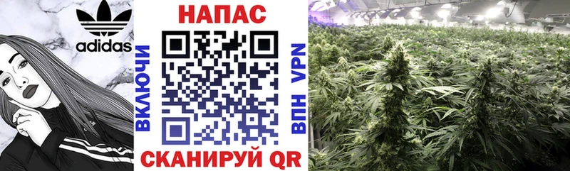 hydra   как найти   Глазов  Каннабис Ganja 